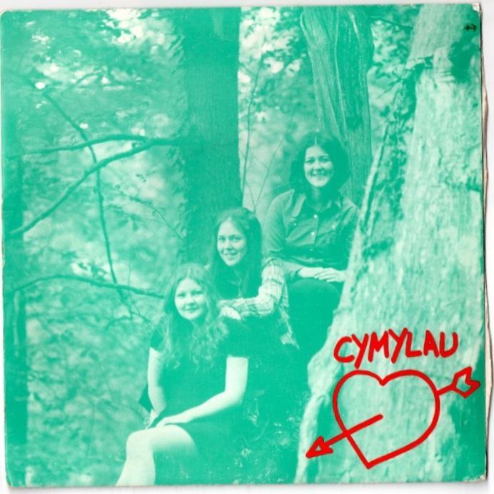 Lost in Translation: A Welsh Language Record&nbsp;Rundown