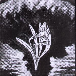 Image result for betsan lloyd   y diwedd